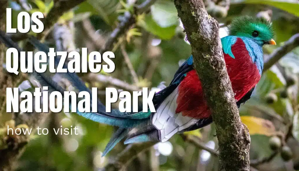 los quetzales national park