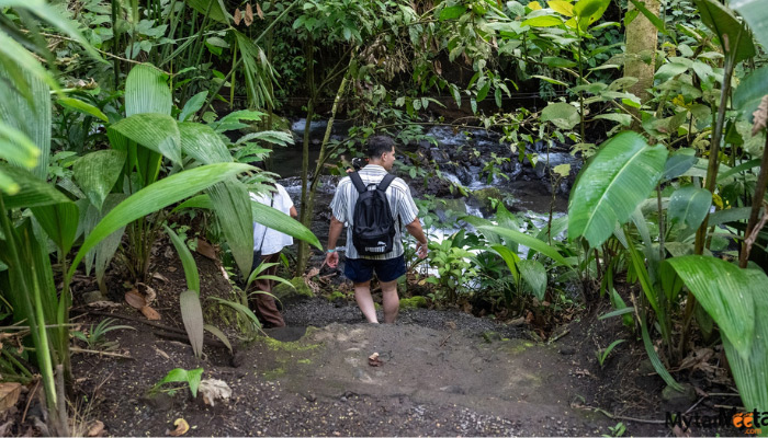 hot springs pura vida
