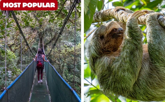 guanacaste rainforest sloth tour most popular