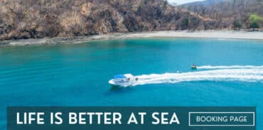 Life is Better at Sea Private Snorkeling Tours Playa Flamingo