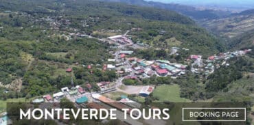 Monteverde tours featured image