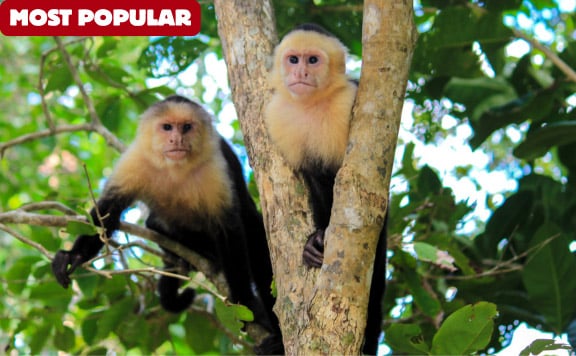 pure-nature-safari-float-most-popular pure nature safari float most popular