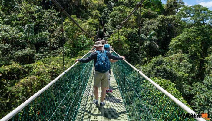 sky adventures arenal hanging bridges