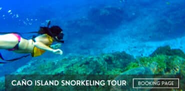 Caño Island Snorkeling Tour from Uvita