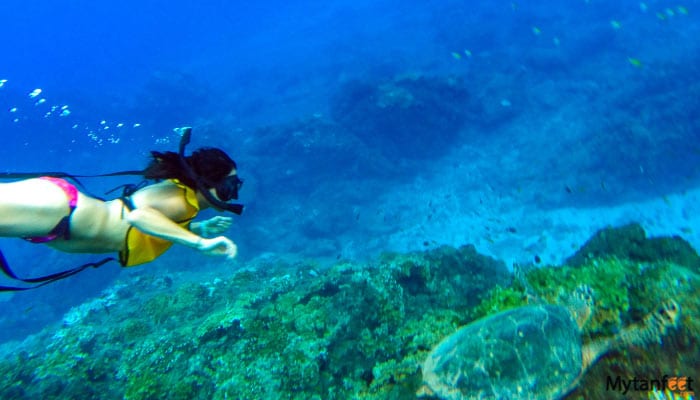 cano island snorkeling tour from uvita