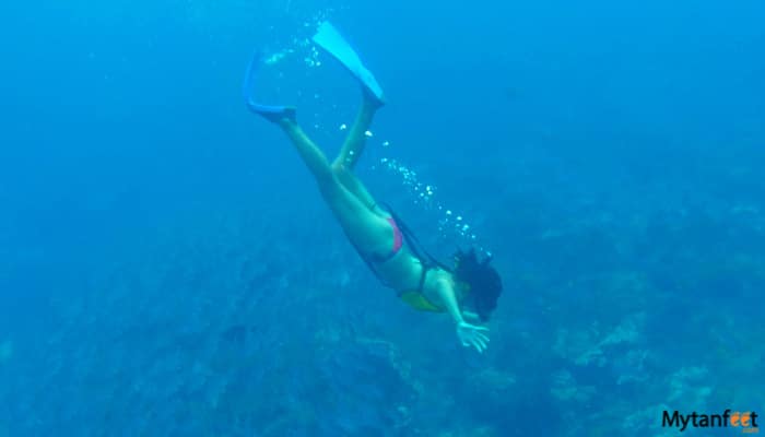 cano island snorkeling tour from uvita