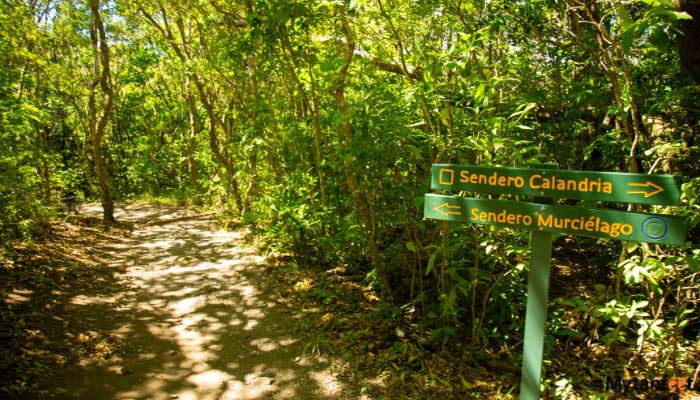 childrens eternal rainforest day tour