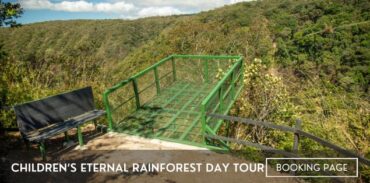 childrens eternal rainforest day tour