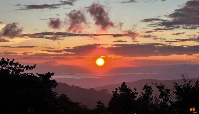 childrens eternal rainforest night tour sunset