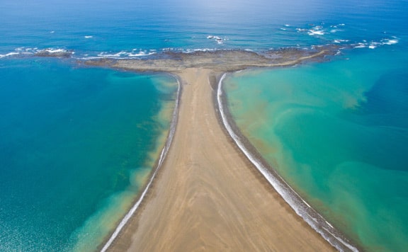costa-ballena-tours-booking-image costa ballena tours