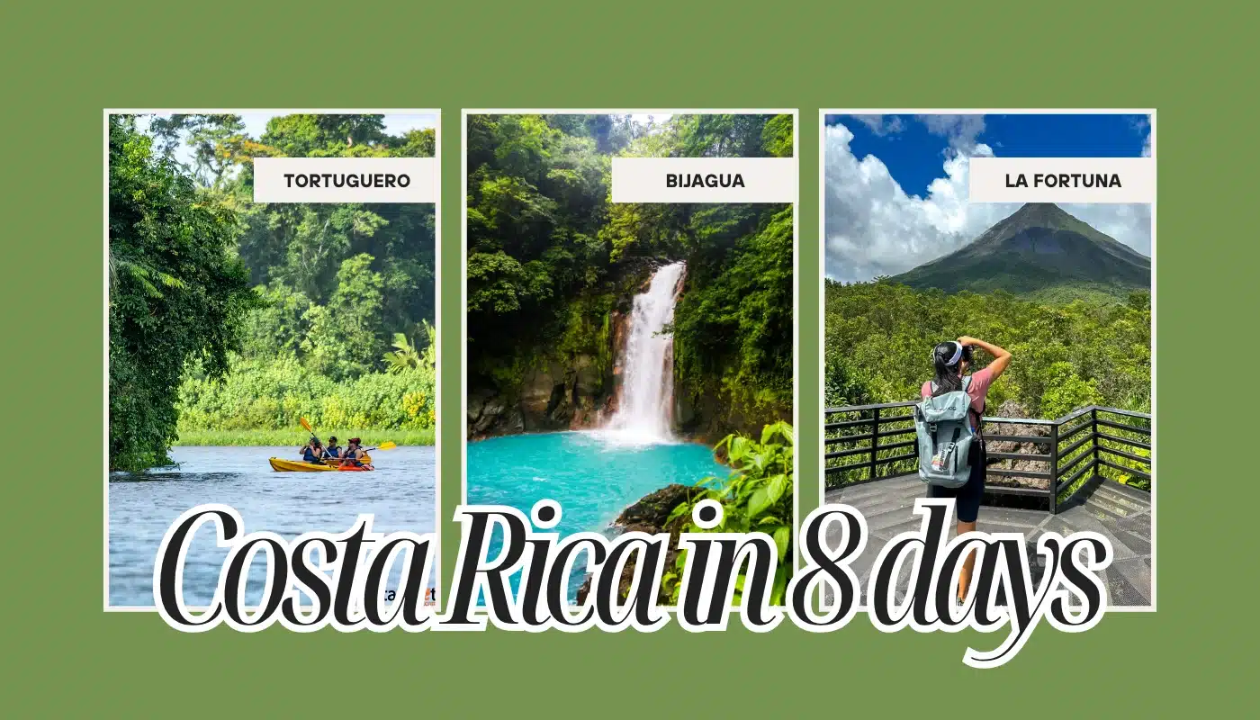 Costa Rica in 8 Days Itinerary: Rainforest, Waterfalls, Volcano