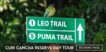 curi cancha reserve day tour