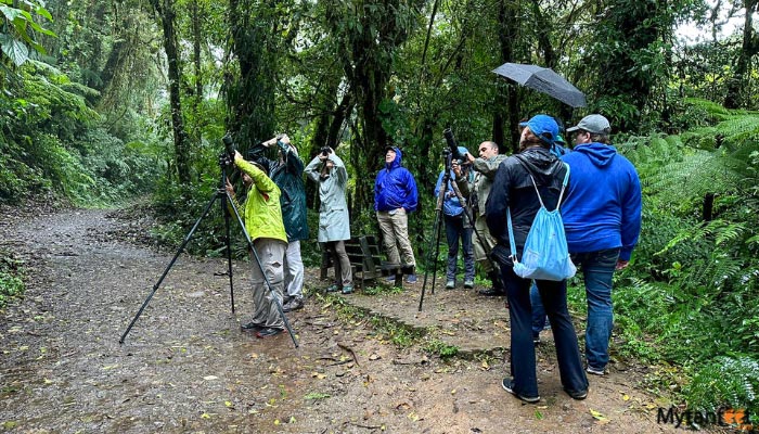 monteverde cloud forest day tour