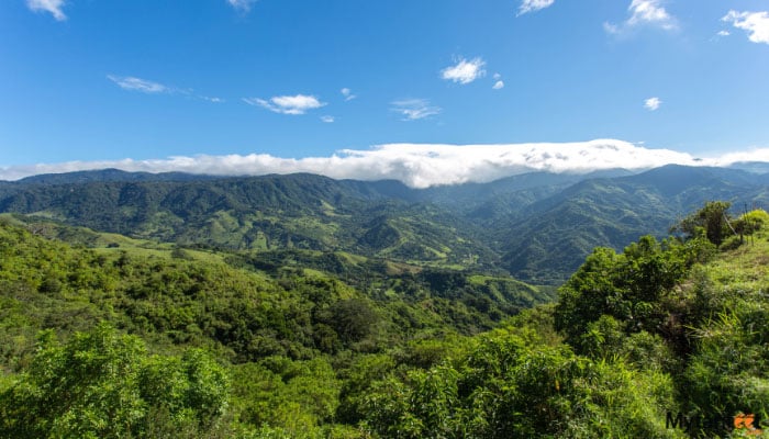 monteverde cloud forest day tour