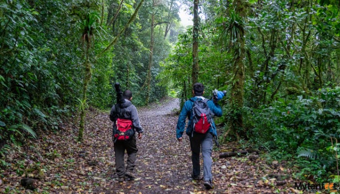 monteverde cloud forest day tour
