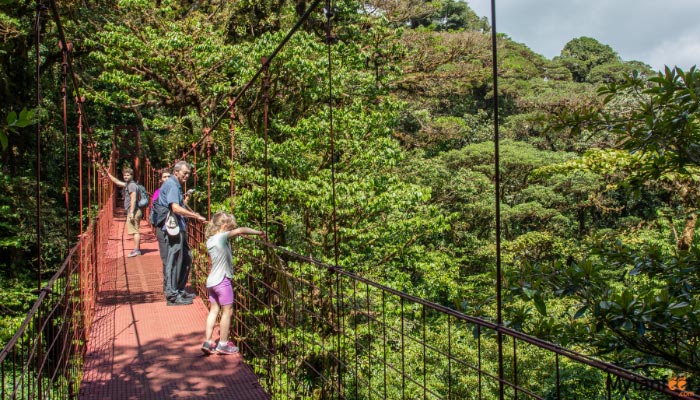 monteverde cloud forest day tour