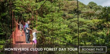 monteverde cloud forest day tour