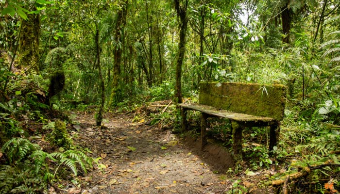 santa elena cloud forest tour