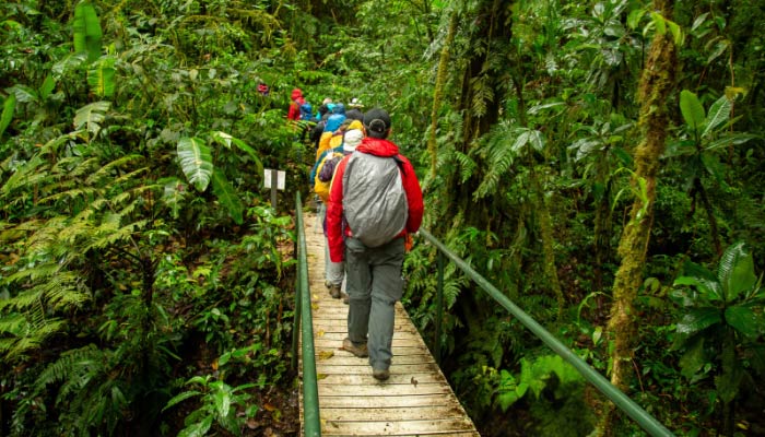 santa elena cloud forest tour