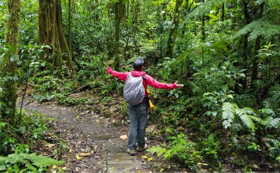 santa-elena-cloud-forest-tour-booking-image santa elena cloud forest tour