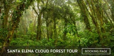 santa elena cloud forest tour