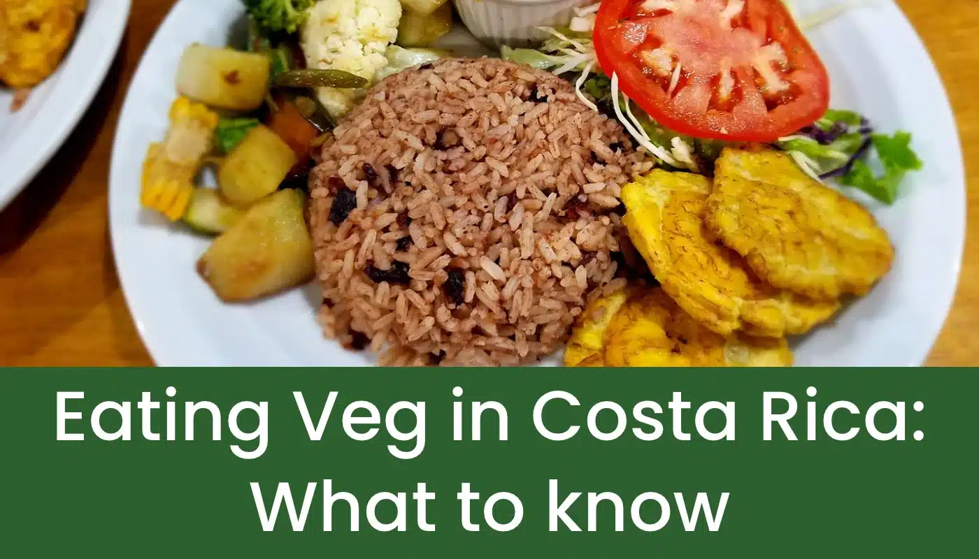 Traveling as a Vegan or Vegetarian in Costa Rica (Gluten Free/Food Allergies Included)