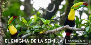 el enigma de la semilla monteverde