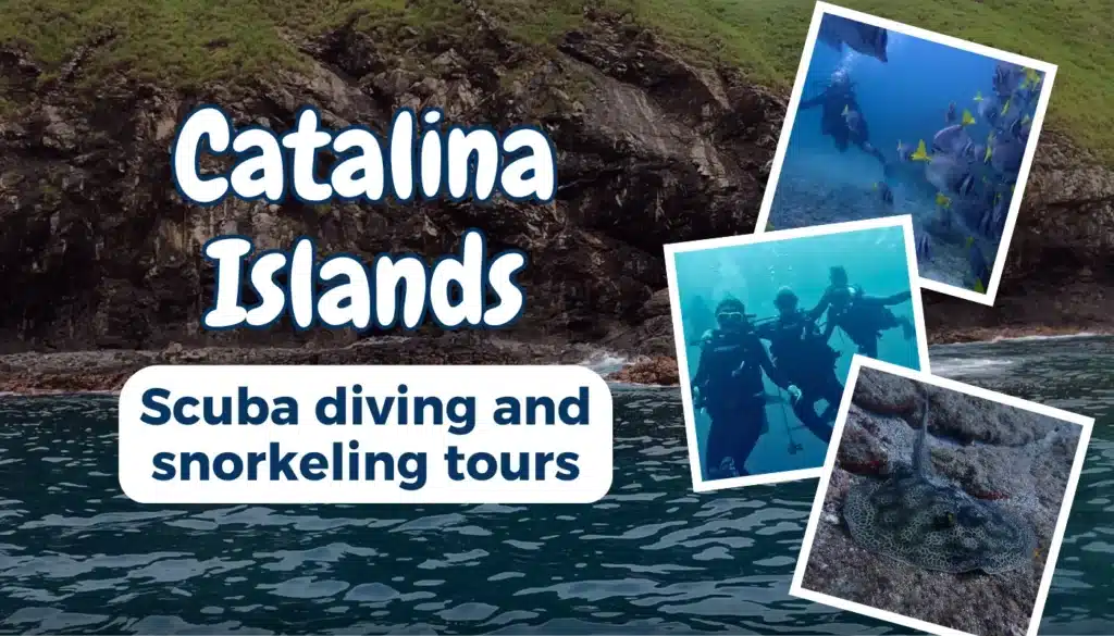 catalina islands featured image
