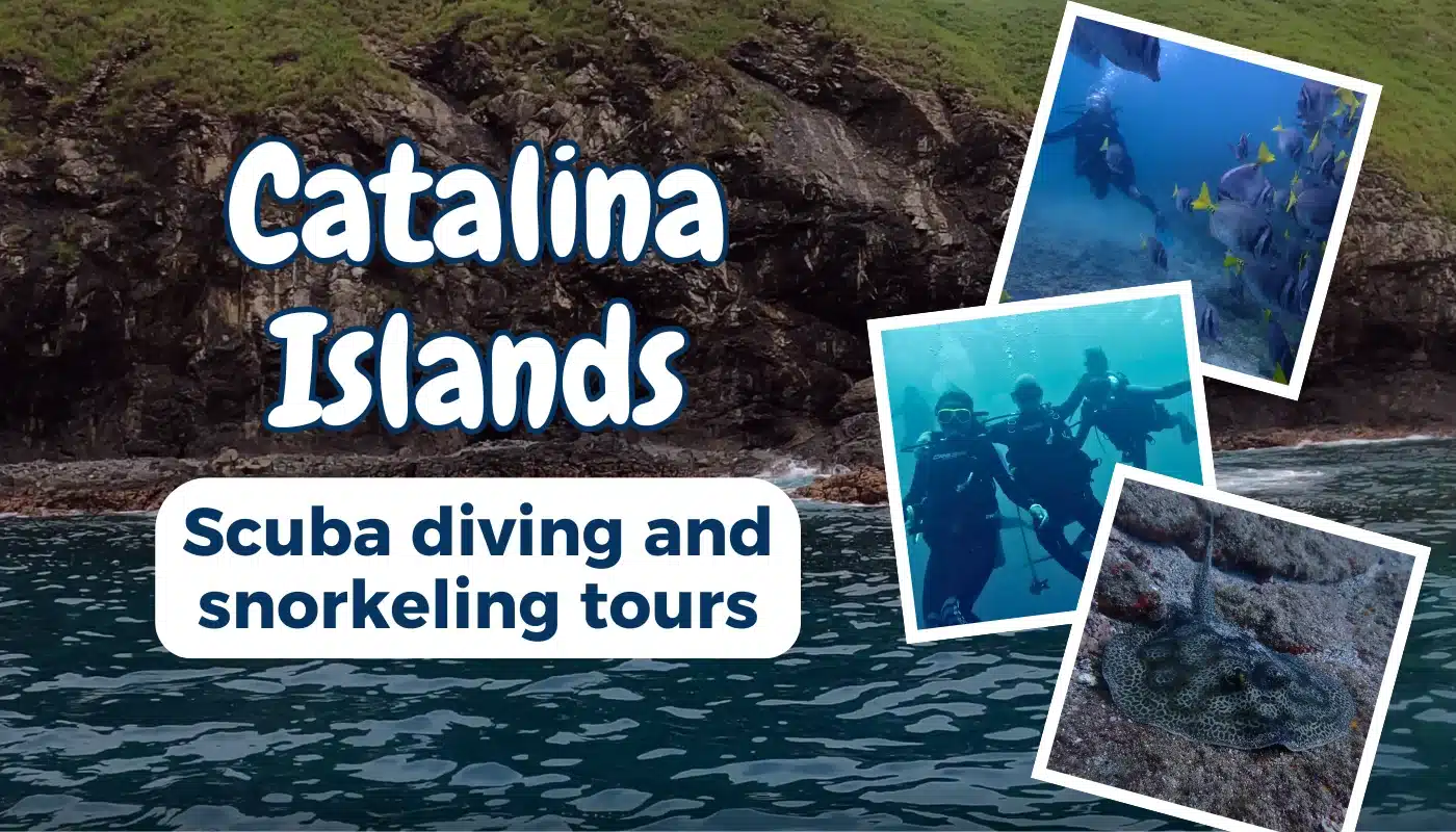 Catalina Islands (Islas Catalina): Scuba Diving, Snorkeling and Boat Trips