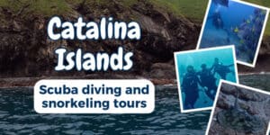 catalina islands scuba diving snorkeling tours
