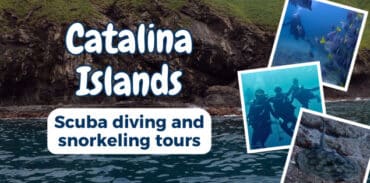 catalina islands scuba diving snorkeling tours
