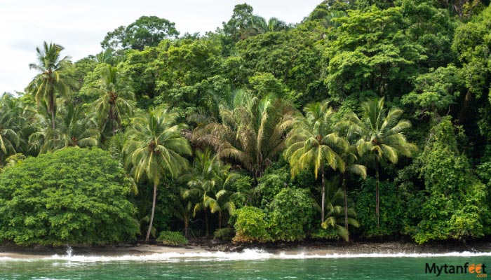 manuel antonio catamaran tour