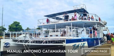 manuel antonio catamaran tour