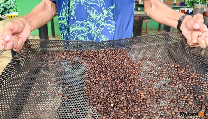 north fields coffee and chocolate tour la fortuna