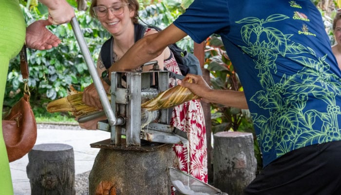 north fields coffee and chocolate tour la fortuna