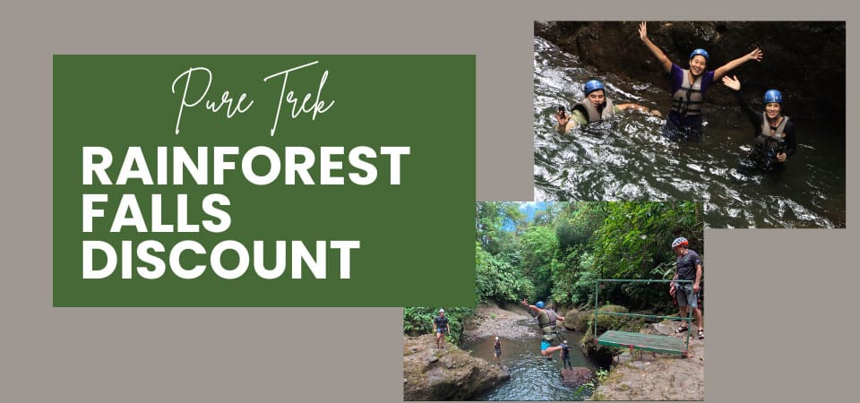 pure-trek-rainforest-falls-booking-image-tours-discount pure trek rainforest falls tour discount