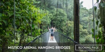 mistico arenal hanging bridges without transportation