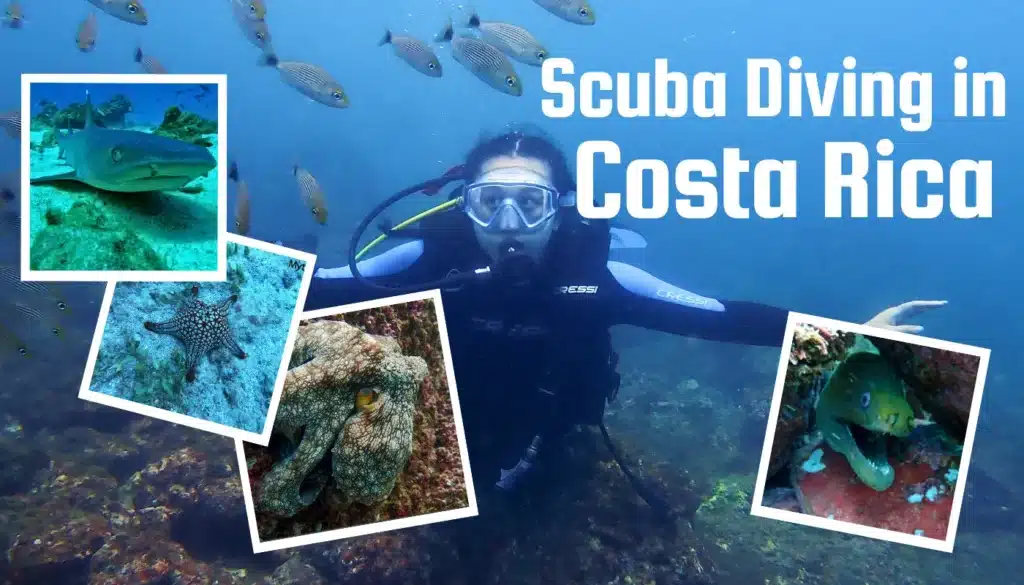 best scuba diving in costa rica featured image