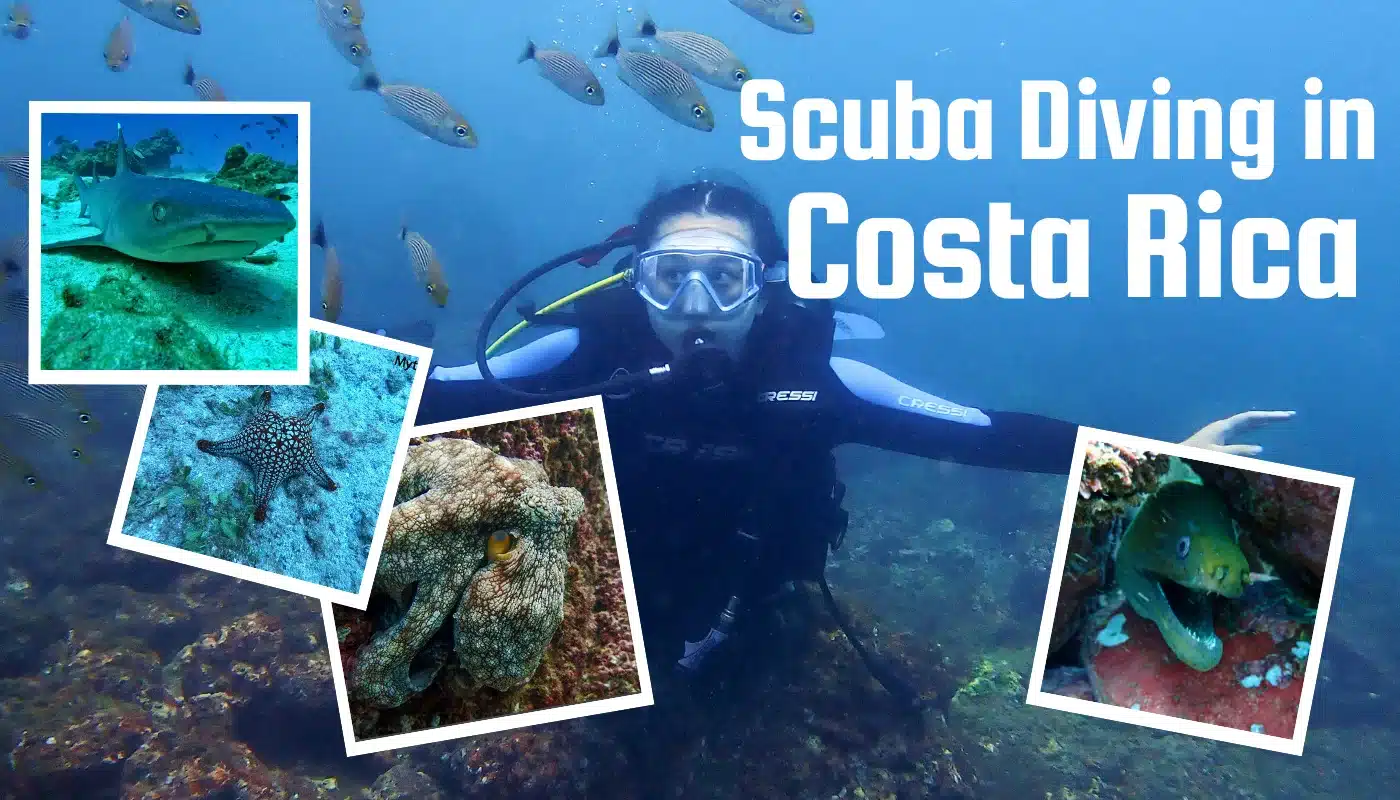 Costa Rica Scuba Diving: Best Time, Best Dive Sites, Conditions